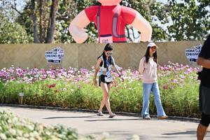 BIB: 
                            <button type="button" onclick="openModal(27798561)" class="btn btn-primary btn-sm float-right btn-popup" data-toggle="modal" data-target=".modal-high-quality">
                        <i class="fas fa-shopping-cart"></i> Add to Cart
                    </button>
                                            <button type="button" onclick="isThisMe(27798561, true)" class="btn btn-success btn-sm float-right btn-popup btn-isme hidden" data-toggle="tooltip" data-placement="bottom" title="นี่คือรูปของคุณใช่ไหม คลิกที่นี่เพื่อเอาเข้าอัลบั้ม">
                        <i class="fas fa-plus"></i> Add to album
                    </button>
                    <button type="button" onclick="isThisMe(27798561, false)" class="btn btn-warning btn-sm float-right btn-popup btn-isnotme hidden">
                        <i class="fas fa-ban"></i> Remove from album
                    </button>